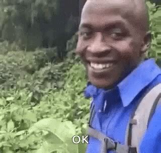 Ok Meme GIFs .
